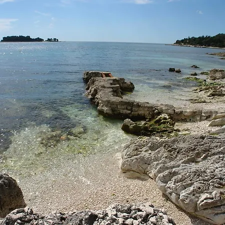 Miran * Rovinj